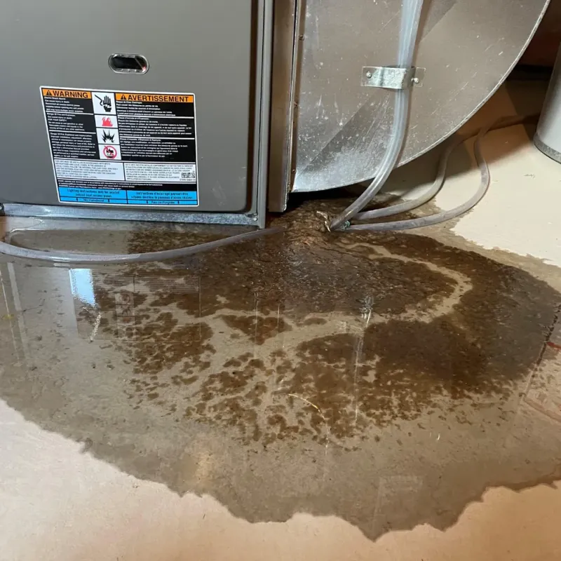 Appliance Leak Cleanup in Newmarket, NH